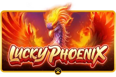 0ccident Live Baccarat Español